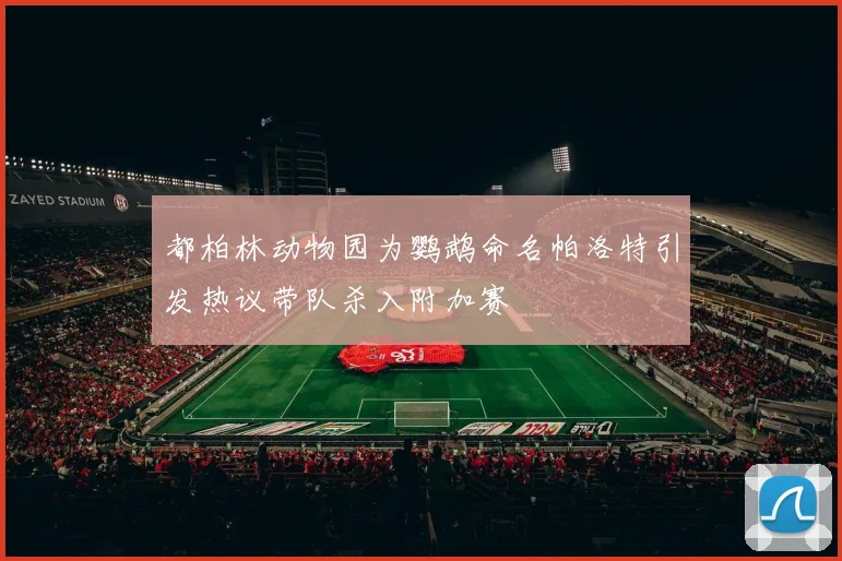 都柏林动物园为鹦鹉命名帕洛特引发热议带队杀入附加赛
