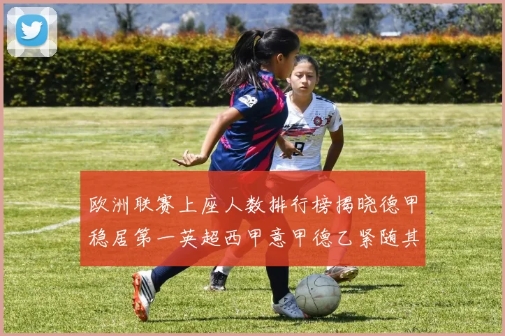 欧洲联赛上座人数排行榜揭晓德甲稳居第一英超西甲意甲德乙紧随其后
