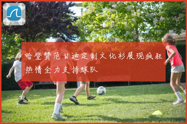 哈登赞范甘迪定制文化衫展现疯狂热情全力支持球队